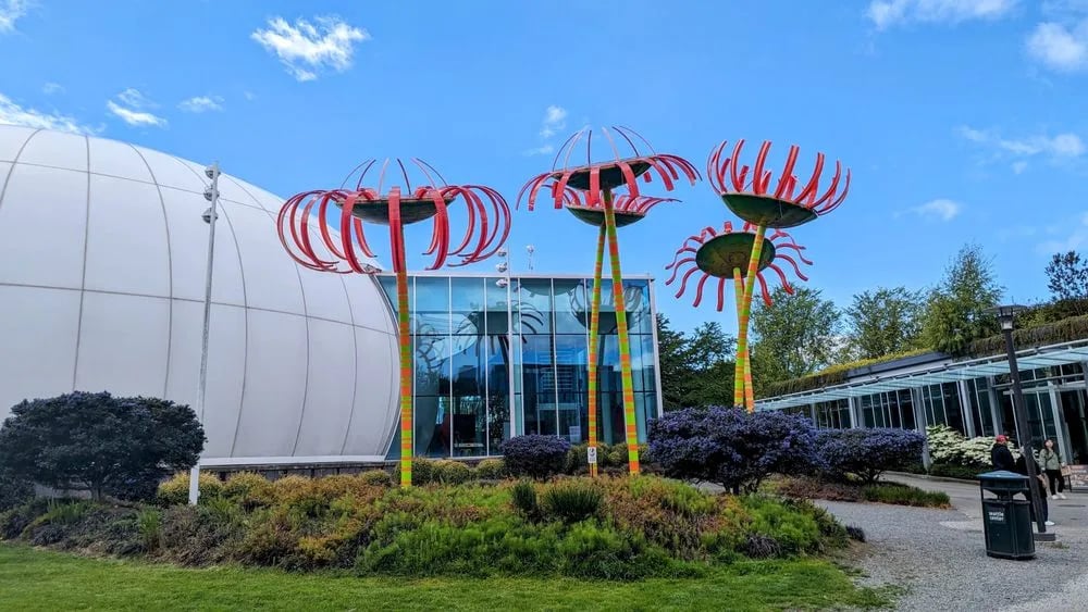 Scavenger Hunt Walking Tours - Seattle image