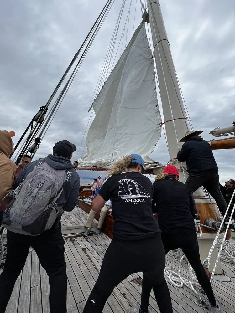 Next Level Sailing image