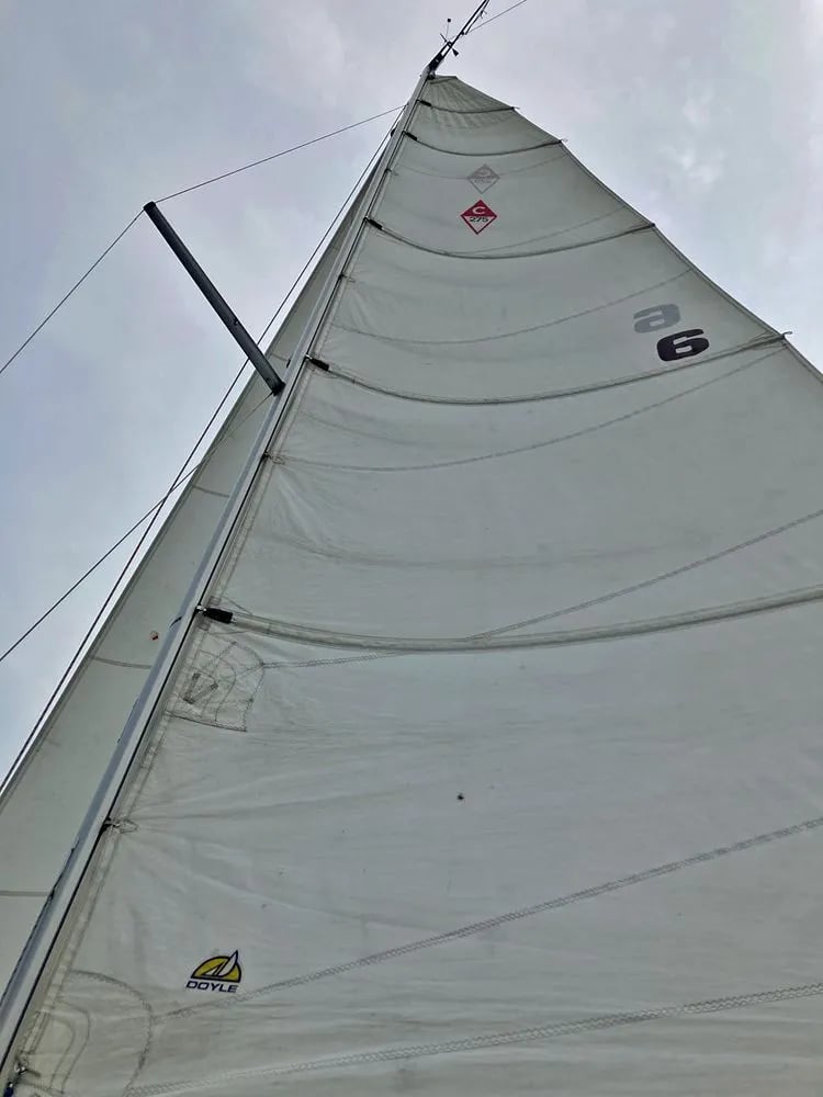 Gone Sailing Adventures image
