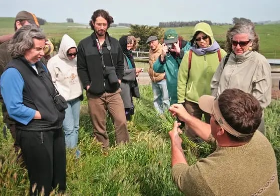 Bay Area Green Tours image