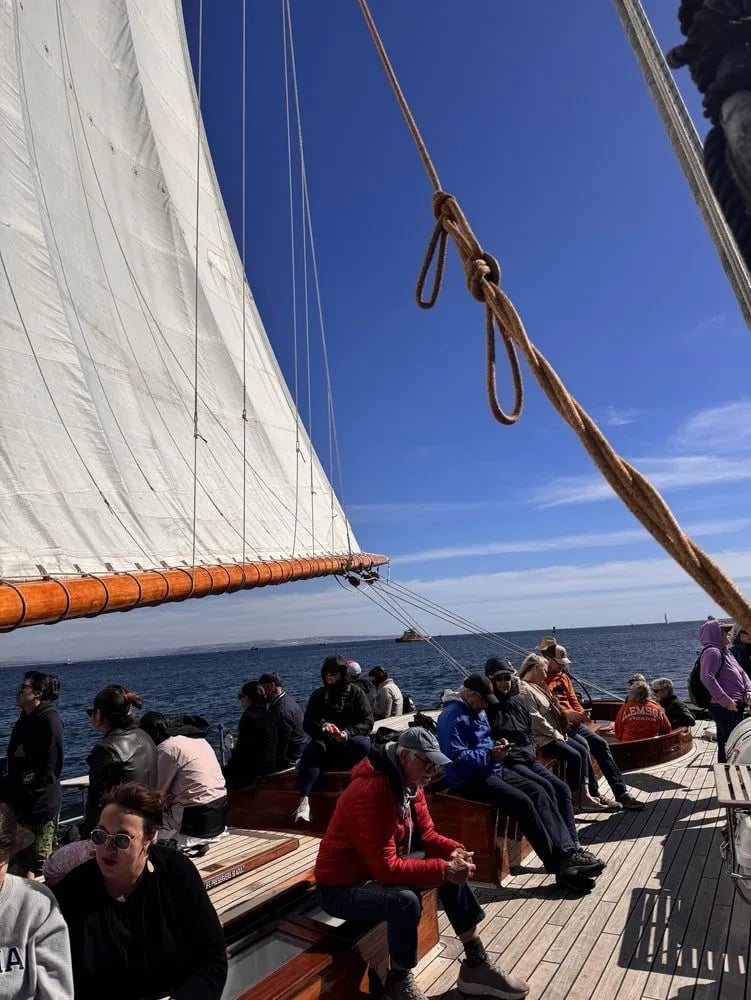 Next Level Sailing image