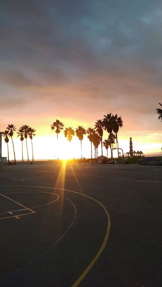 Venice Bike Tours image