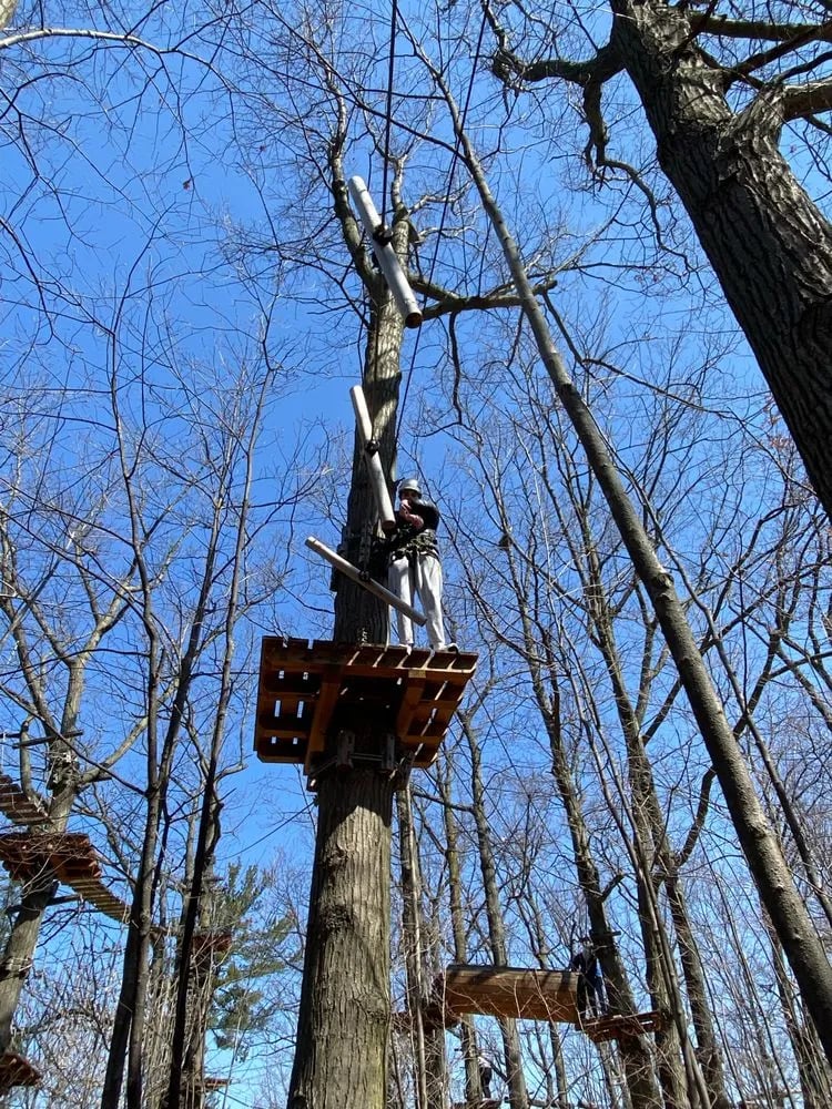 Treetop Trekking image