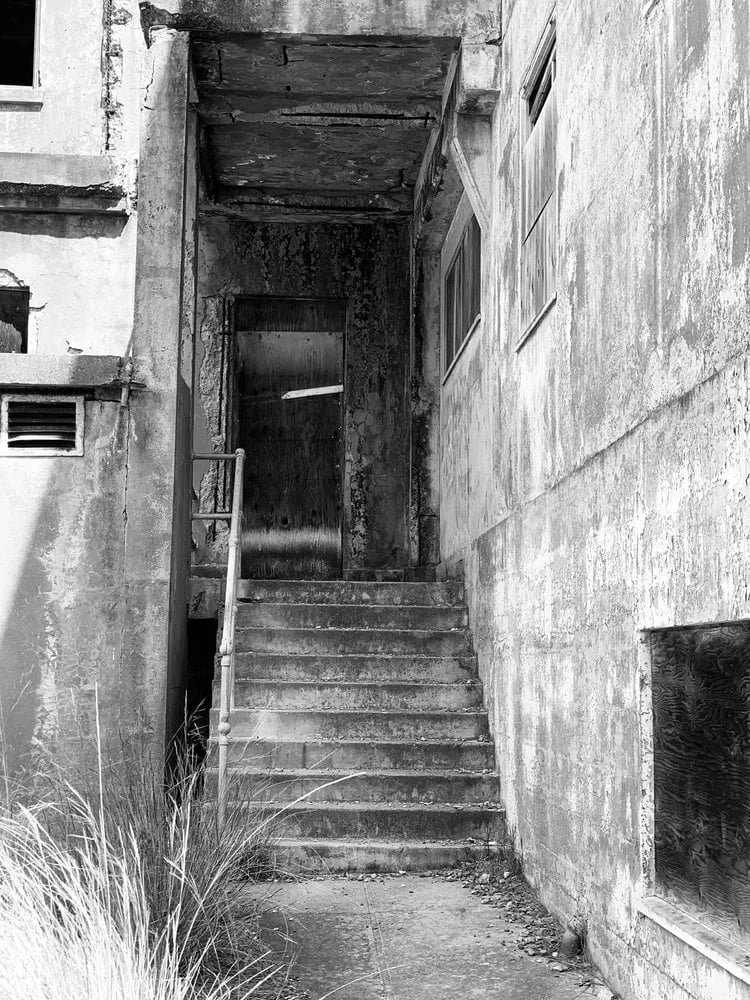 Angel Island-Tiburon Ferry image