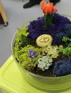 Luludi Living Art