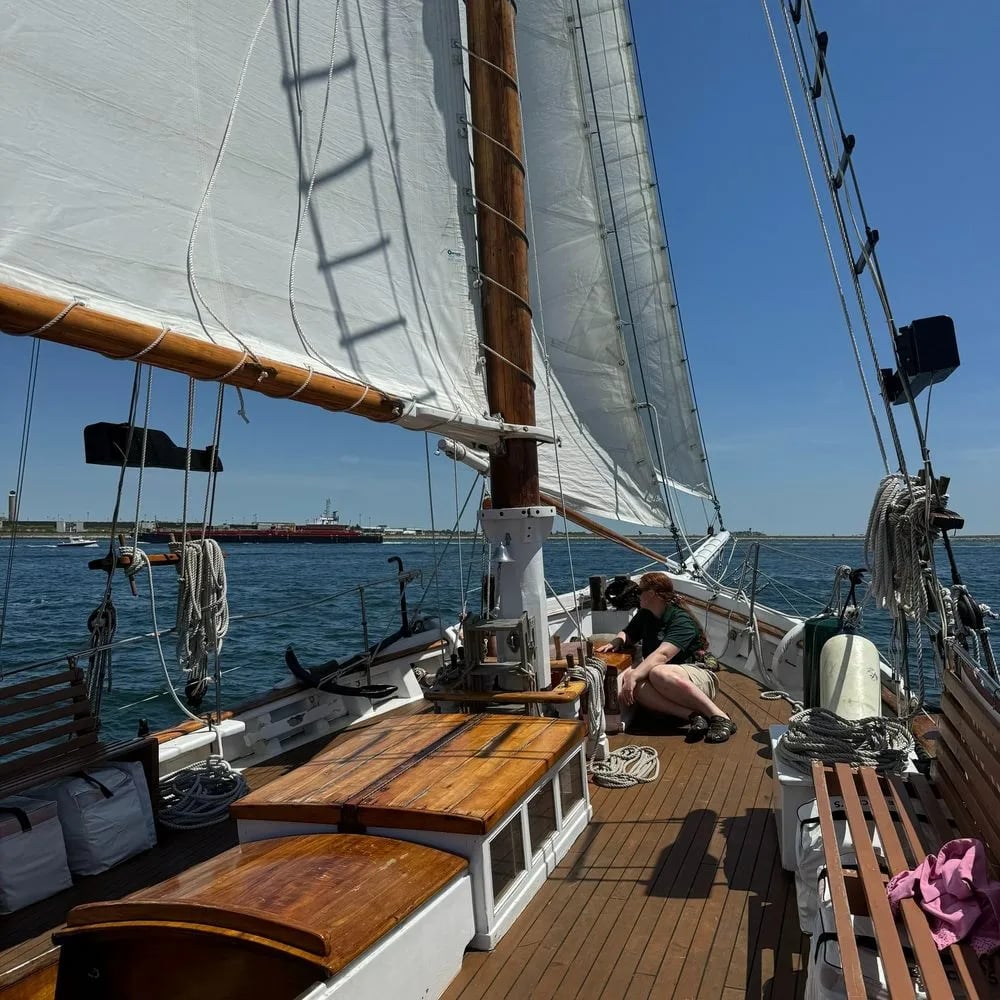 Liberty Fleet of Tall Ships image