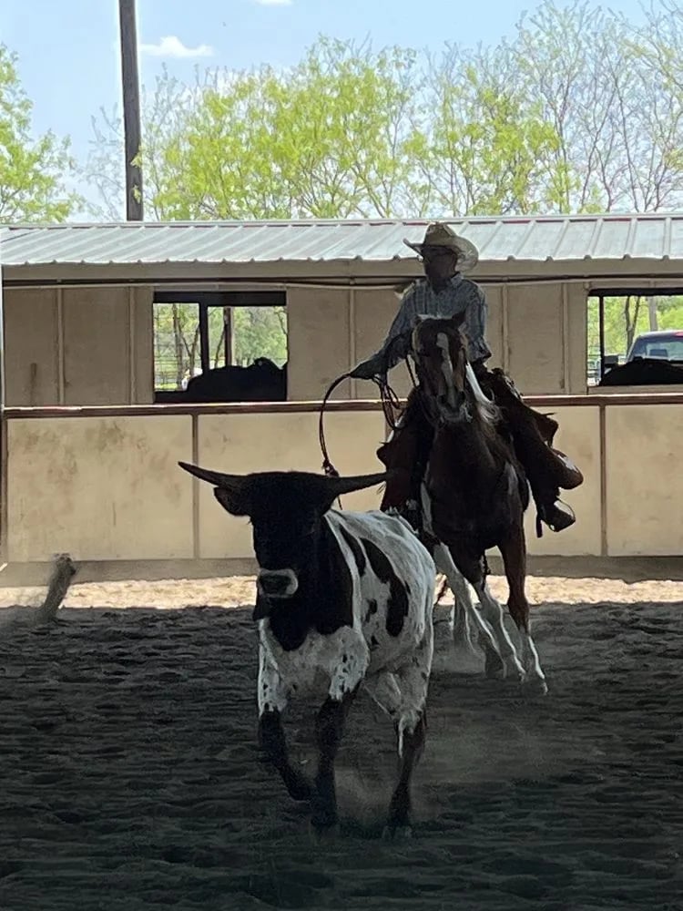 Lone Star Ranch & Rodeo image