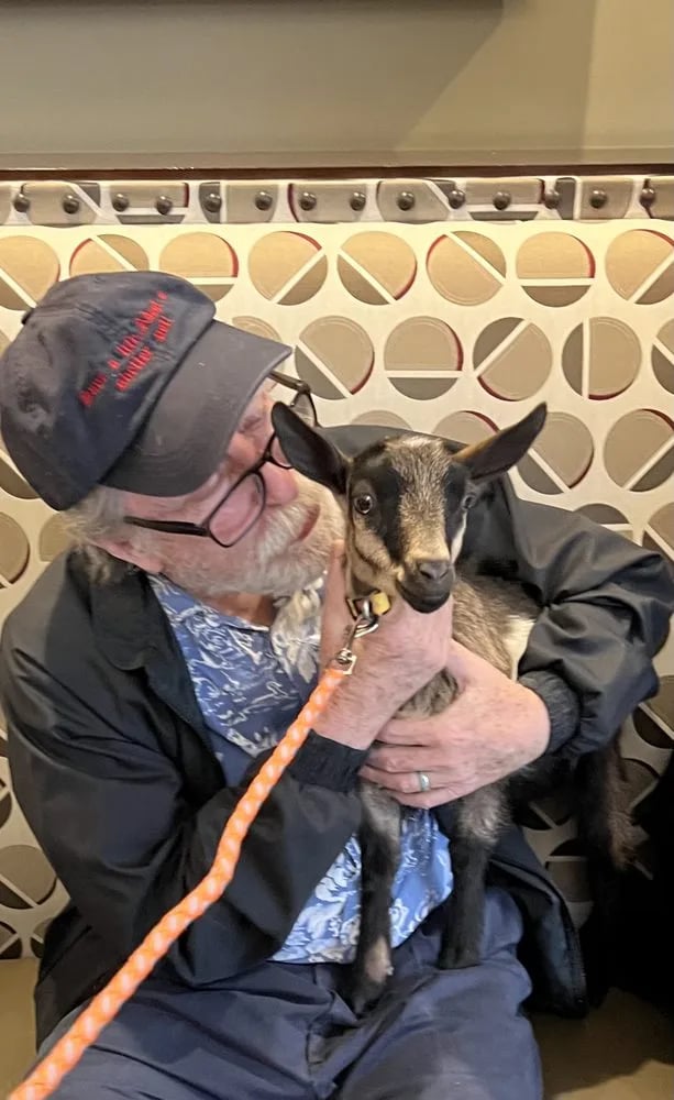 Hello Critter Goat Yoga image