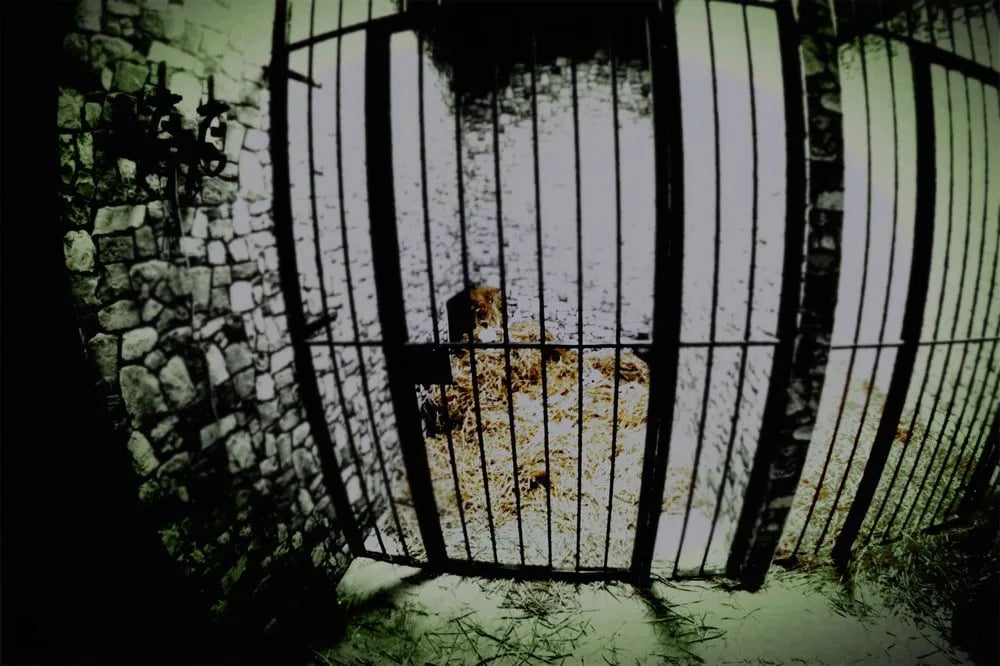 Trapped image