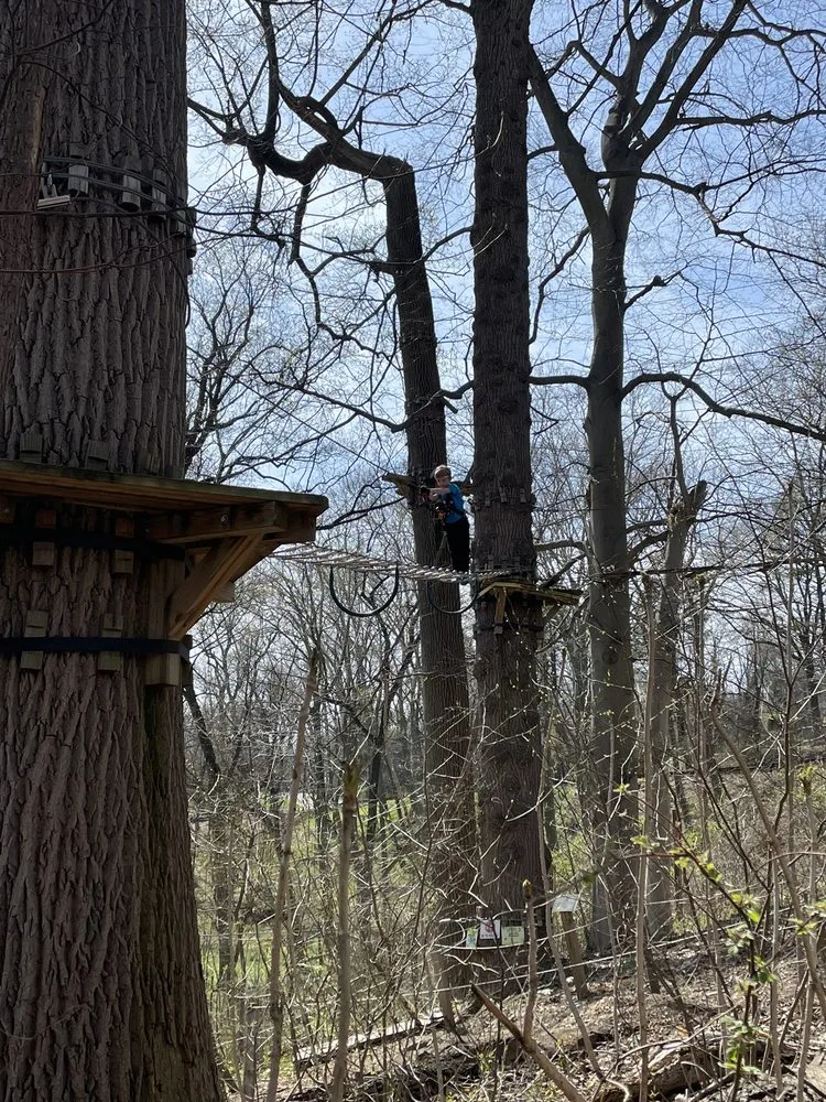 Treetop Quest Philly image