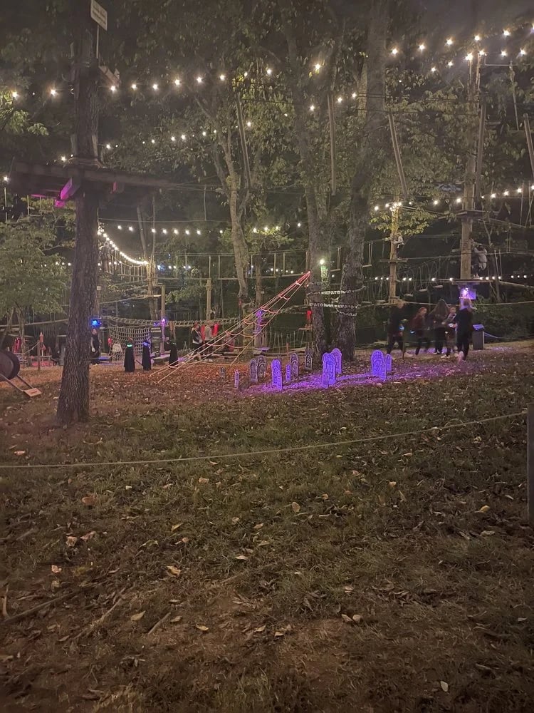 The Adventure Park at Nashville image