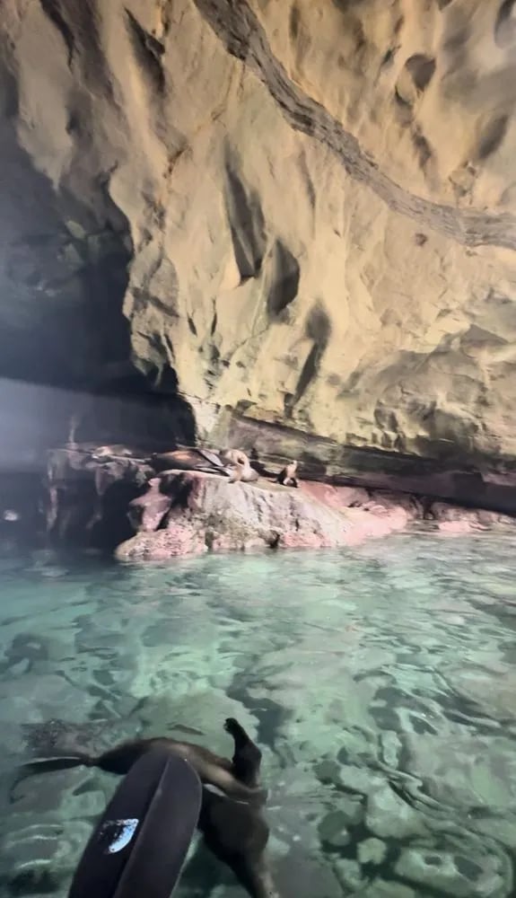 La Jolla Kayak image