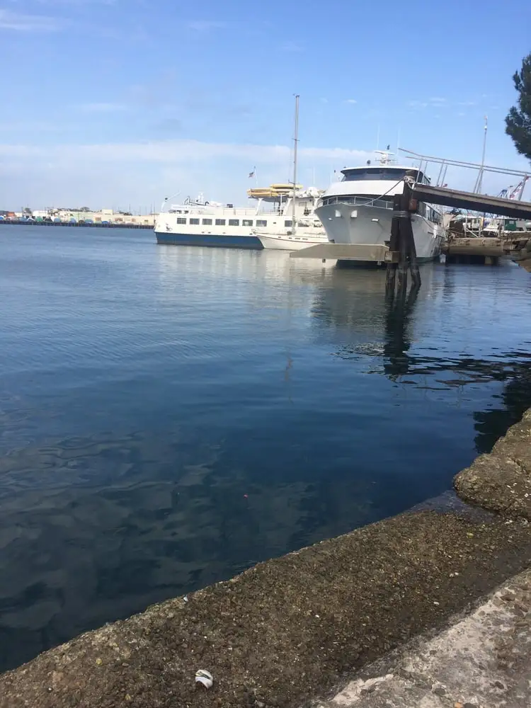 Southern California Marine Institute image