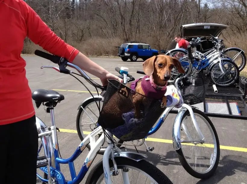 Cleveland Bike Tours image