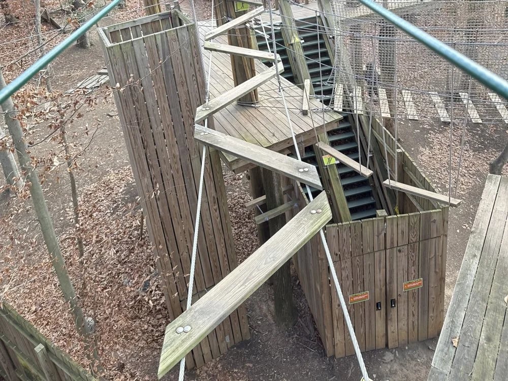Go Ape Zipline & Adventure Park image