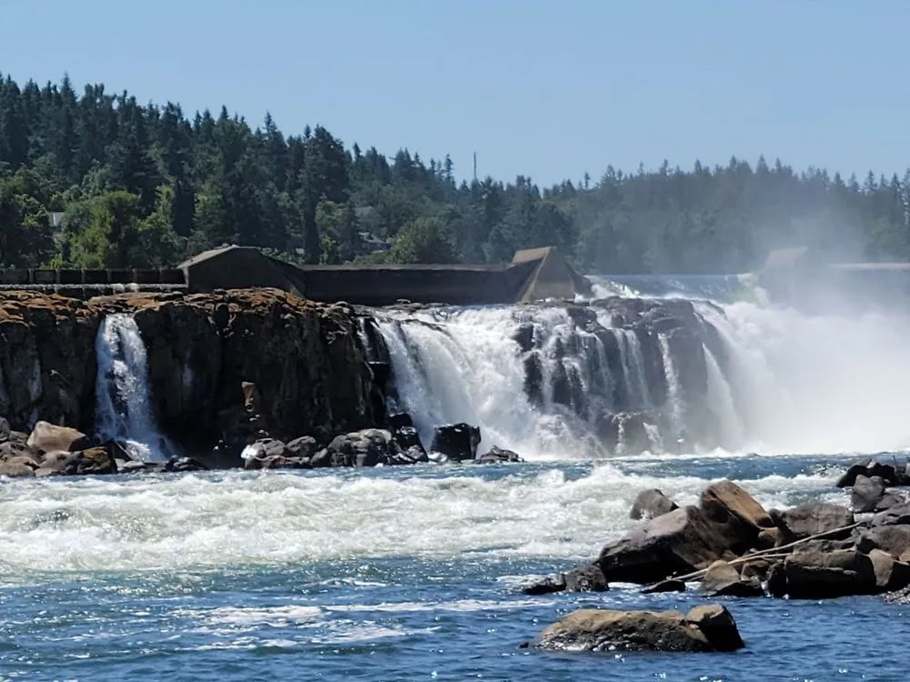 Willamette Jetboat Excursions image