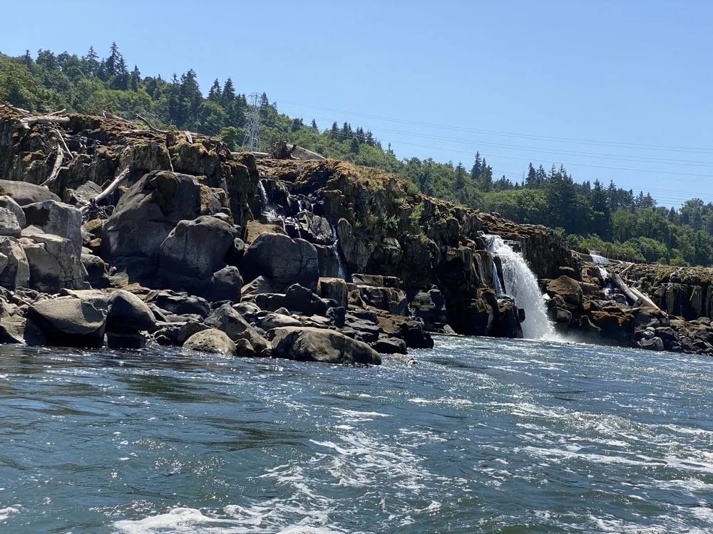 Willamette Jetboat Excursions image