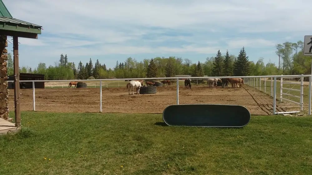 Birch Bay Ranch image