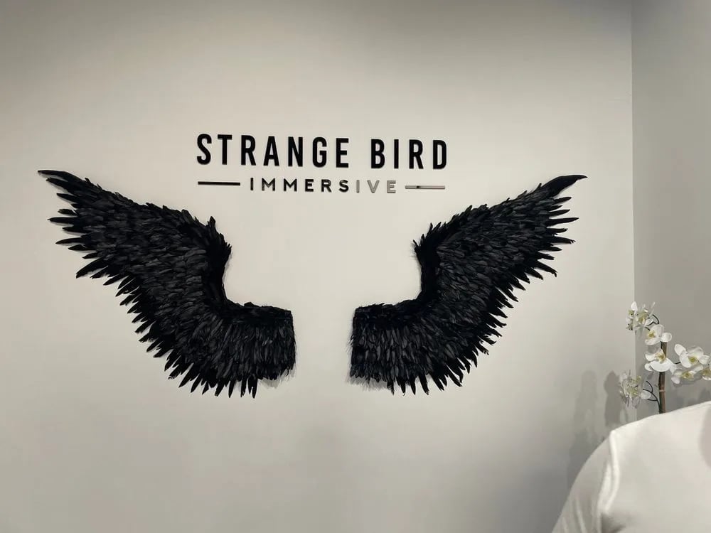 Strange Bird Immersive image