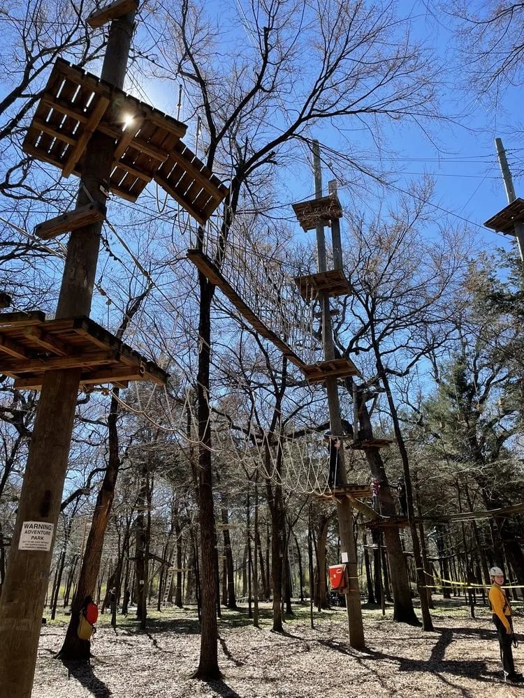 Trinity Forest Adventure Park image
