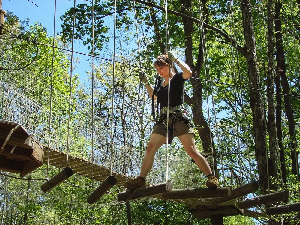 Treetop Quest Philly image