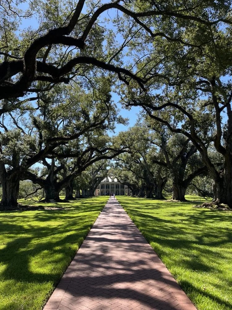 Gray Line New Orleans image