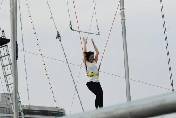 Trapeze School New York image