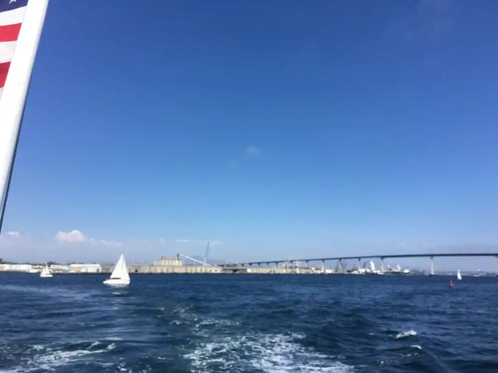 San Diego Seal Tour image