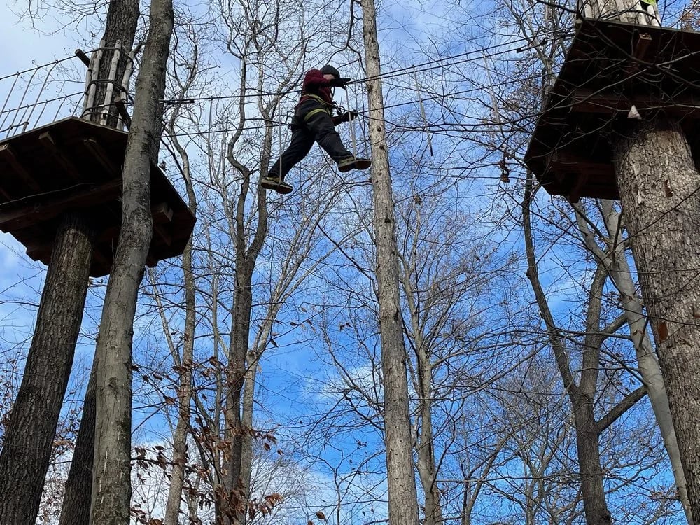 Go Ape Zipline & Adventure Park image