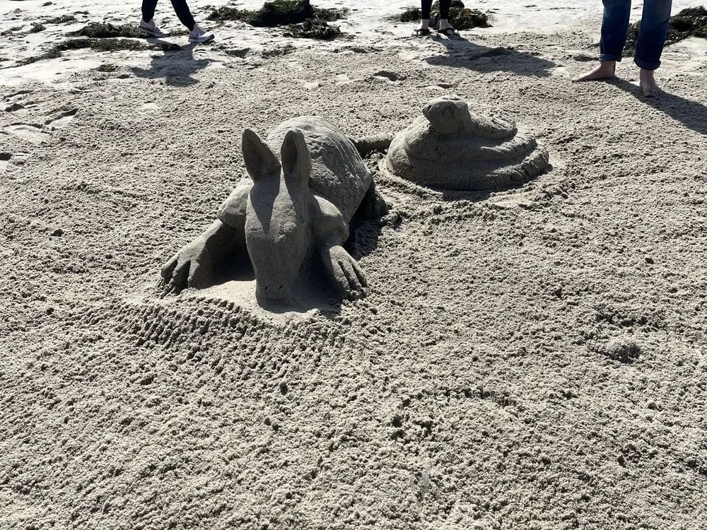 San Diego Sand Castles image