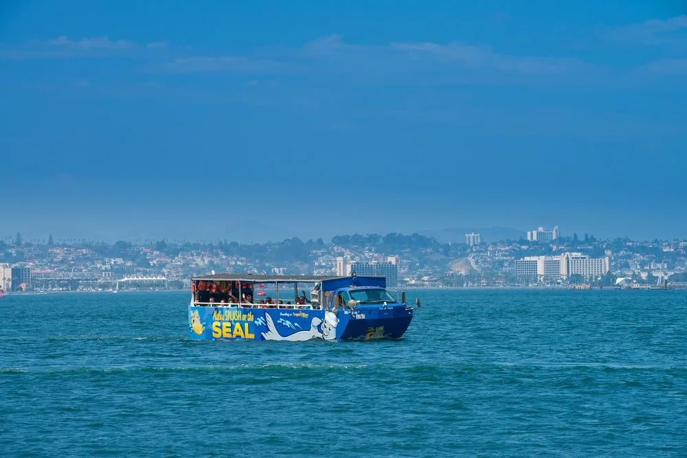 San Diego Seal Tour image