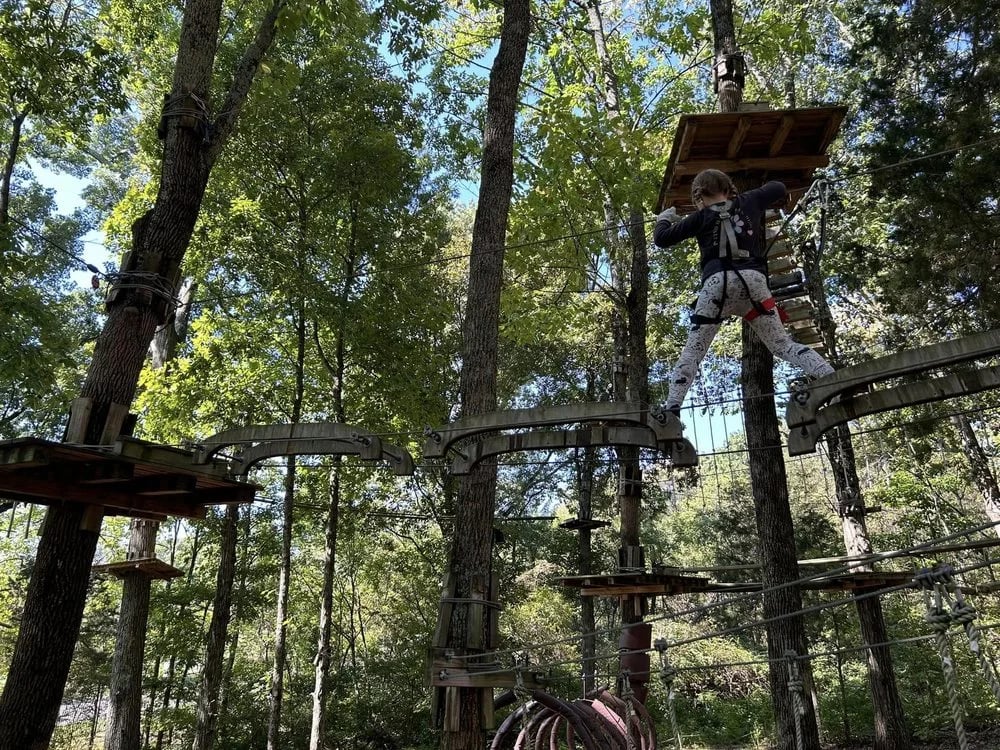 The Adventure Park at Nashville image