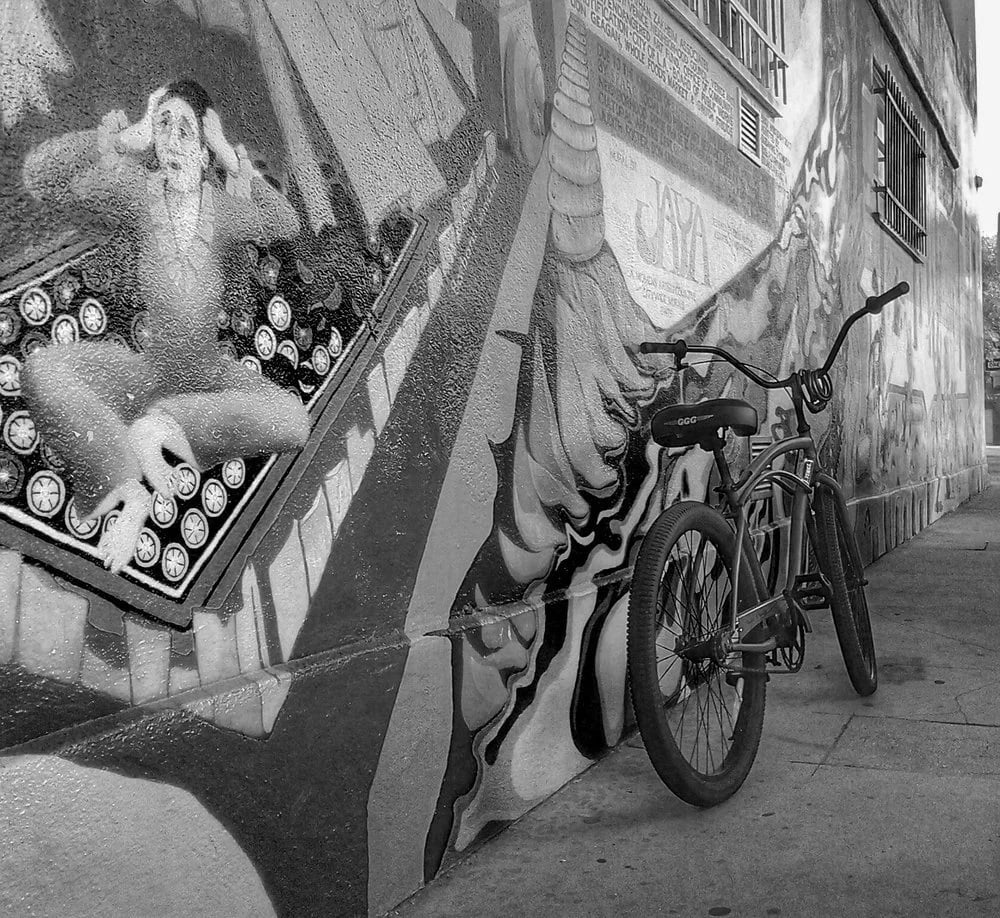 Venice Bike Tours image