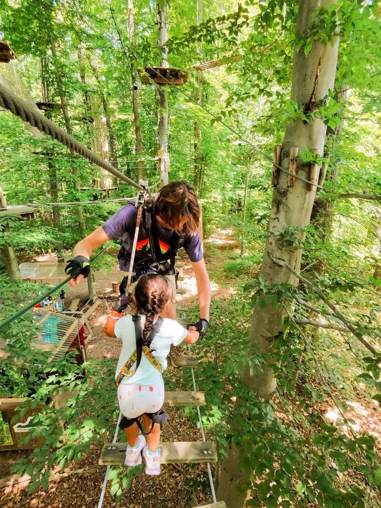 Go Ape Zipline & Adventure Park image