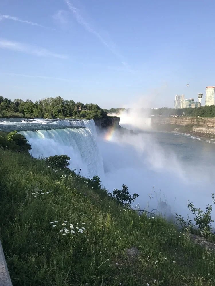 Bedore Tours image