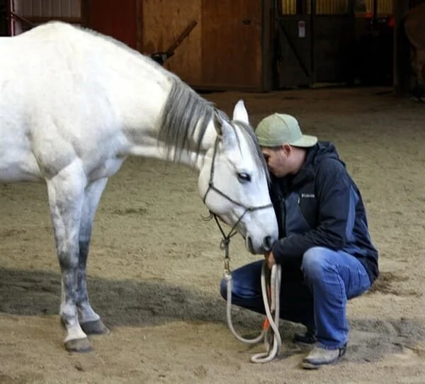 Horses4Heroes' The Ranch image