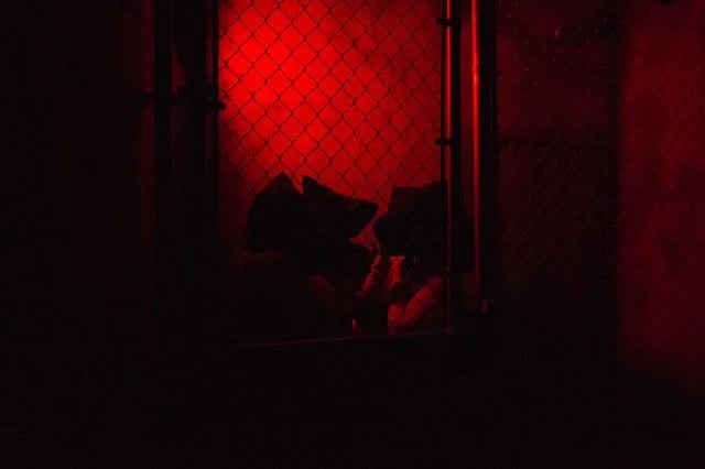 The Basement: A Live Escape Room Experience image
