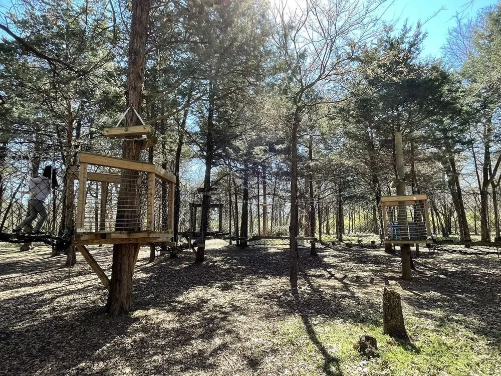 Trinity Forest Adventure Park image