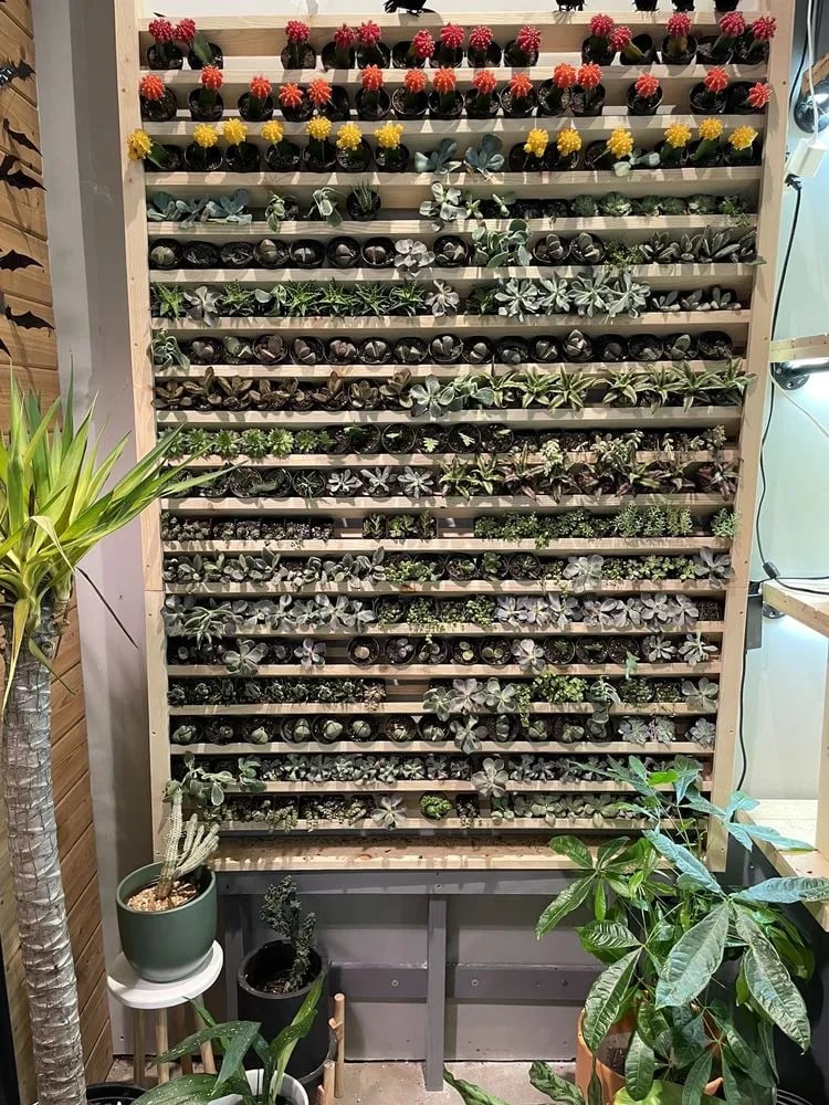 Urban Sprouts image