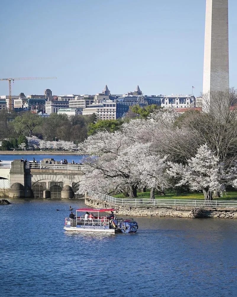 Potomac Paddle Club - Navy Yard image
