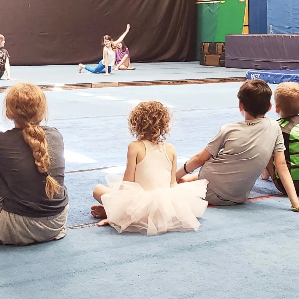 MSA & Circus Arts image