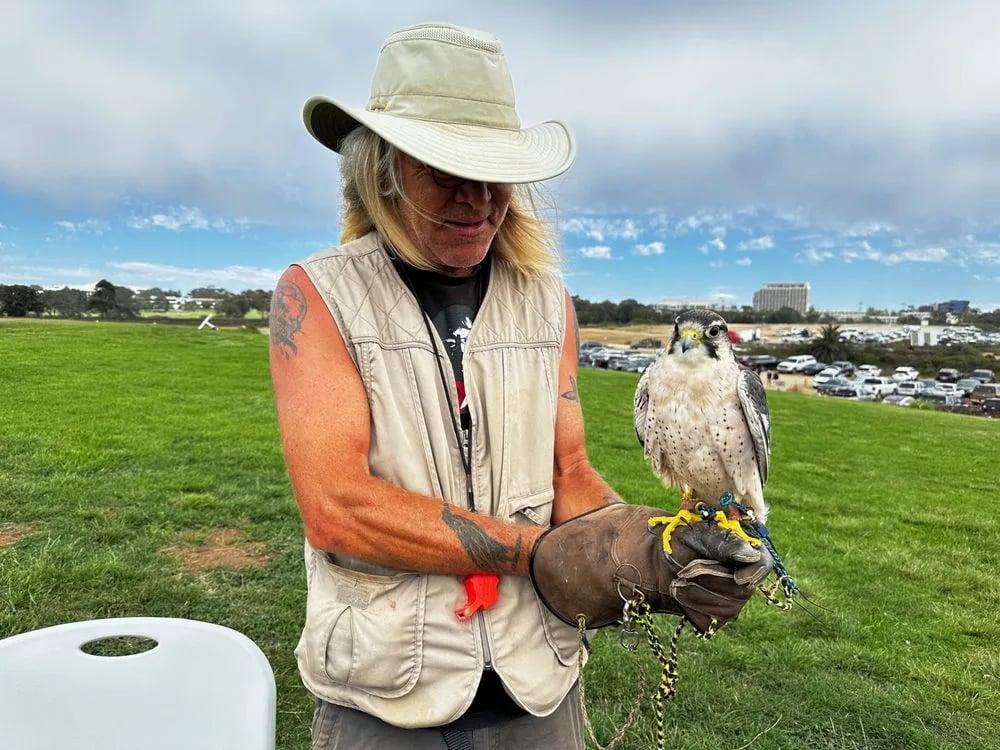 Total Raptor eXperience image