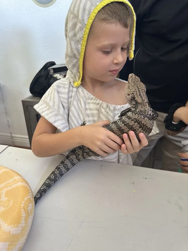 For Goodness Snakes image