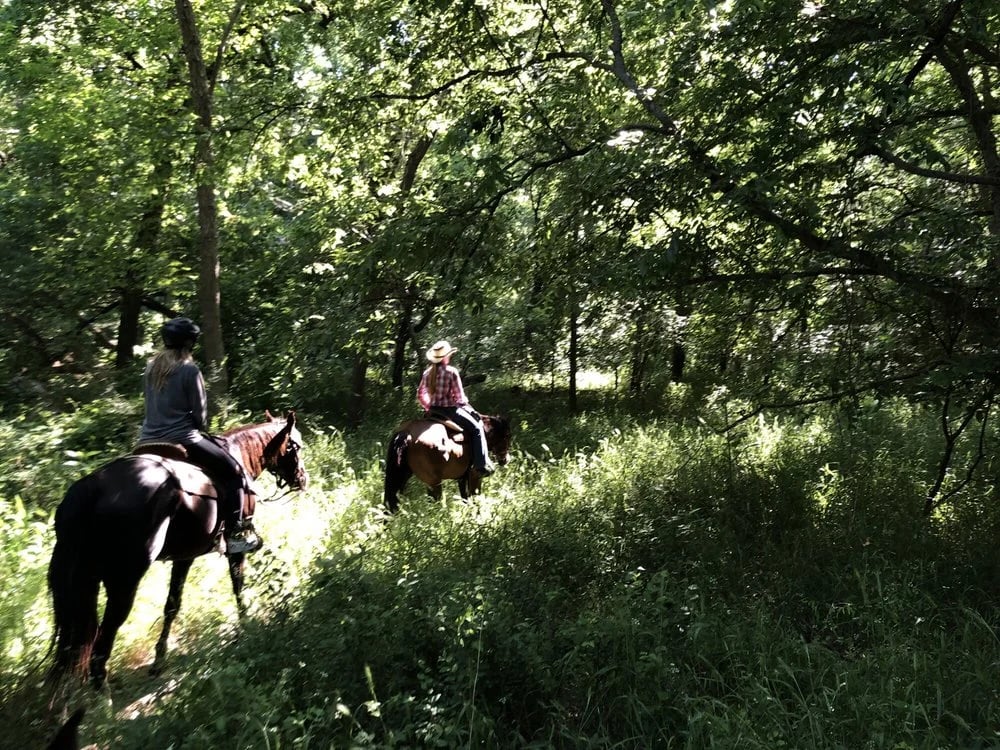 Texas Trail Rides image
