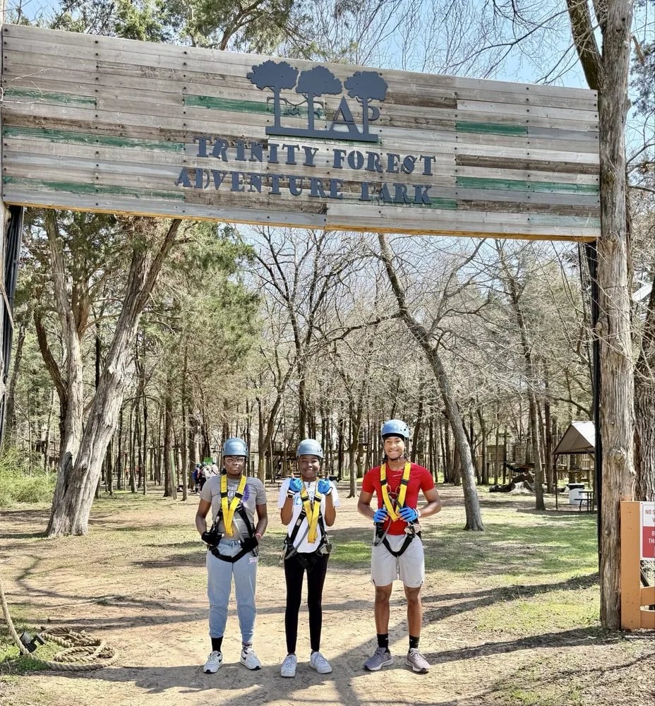 Trinity Forest Adventure Park image
