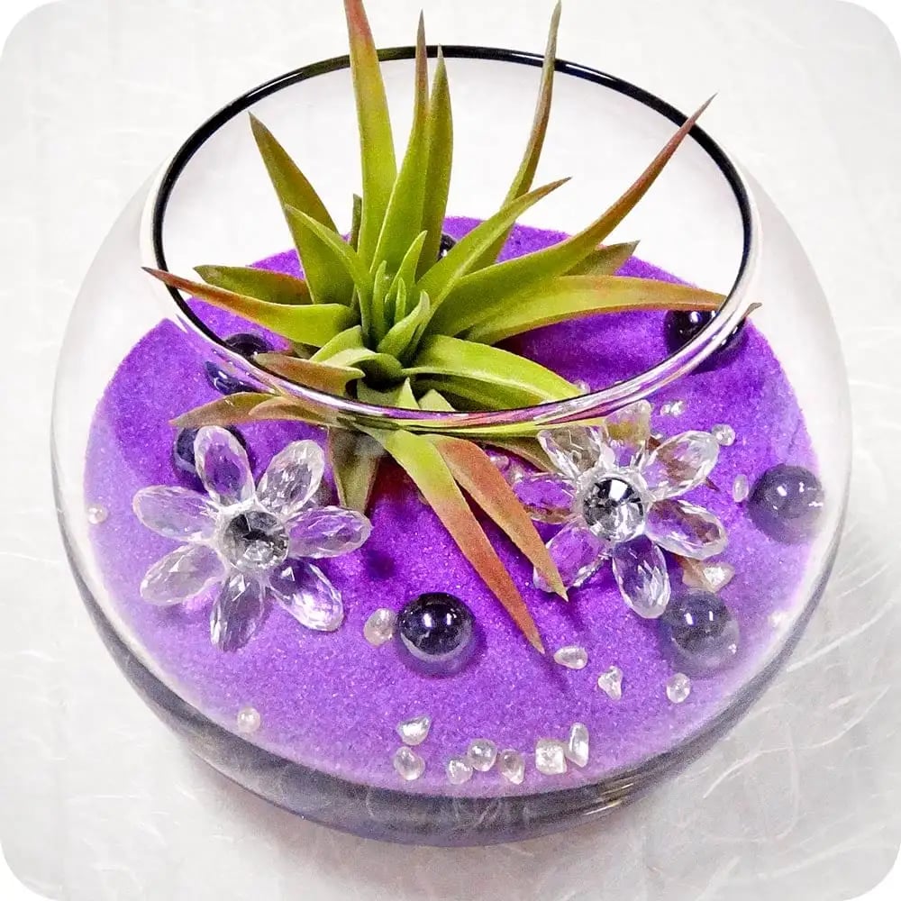 Luludi Living Art image