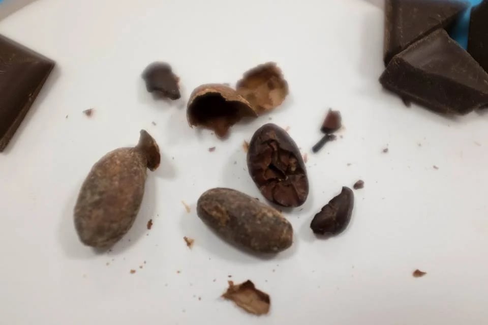 Chocolate Noise image