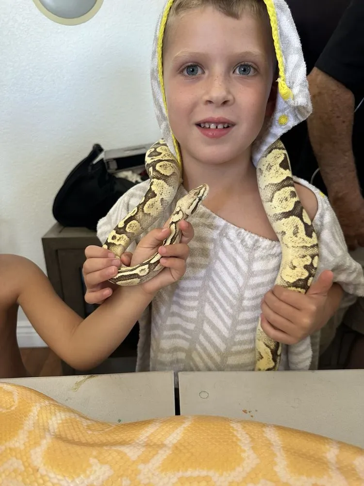 For Goodness Snakes image