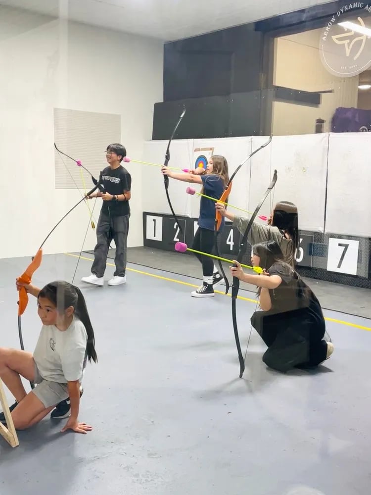 Arrow Dynamic Archery image