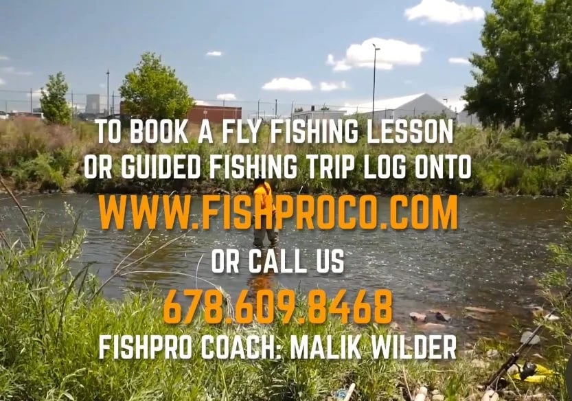 FishProCo image